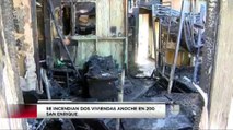 Dos viviendas son destruídas por un voraz incendio