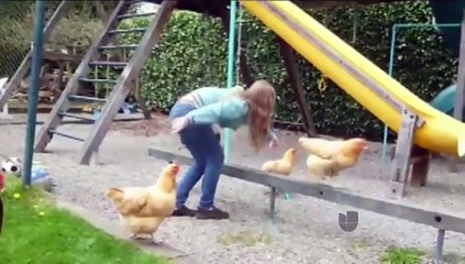 Lanzan petición en Odessa para permitir la crianza de gallinas en las casas.