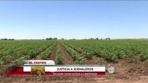 Justicia laboral para los trabajadores del campo