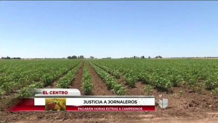 Justicia laboral para los trabajadores del campo