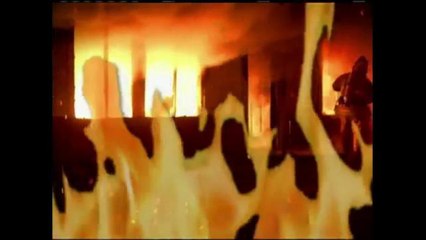 Incendio voraz en fabrica de aceite y gas