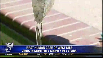 MONTEREY COUNTY REPORTS 1ST CASE OF WEST NILE VIRUS IN 4 YEARS