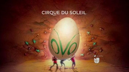Cirque du Soleil "OVO" llega a Florida