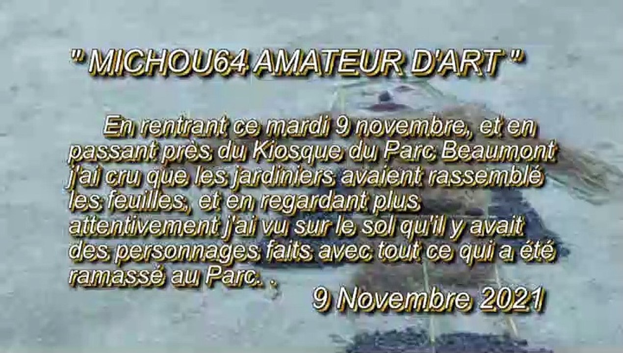 MICHOU64 W-D.D. AMATEUR D'ART - 9 NOVEMBRE 2021 - PAU - AUTOUR DU KIOSQUE DU PARC BEAUMONT EXPOSITION D'ART ÉPHÉMÈRE