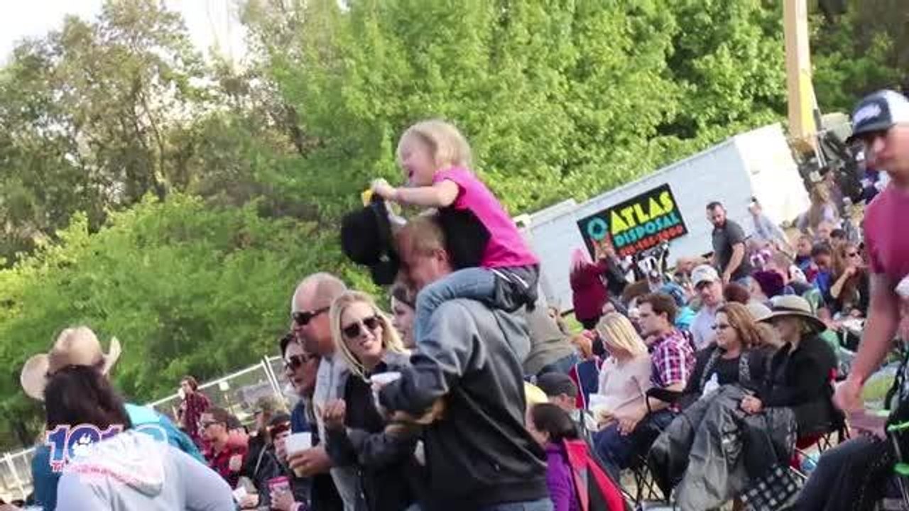 Wolf Fest 2016 - Recap