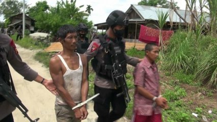 Tangkap Dua Pembalak Liar, Polisi Sita 10 Ton Kayu Ilegal