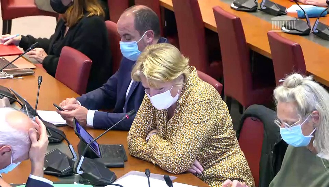 Commission des affaires sociales : Plateforme de référencement et de prise en charge des malades chroniques de la covid-19 ; Restrictions d’accès à certaines professions en raison de l’état de santé - Mercredi 17 novembre 2021