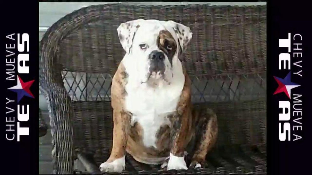 Buscan a Gunny