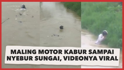 Maling Motor Kabur Sampai Nyebur Sungai, Videonya Renang Pakai Helm Viral