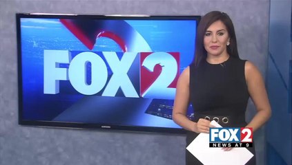 $150,000 Worth of Marijuana Seized in Pharr