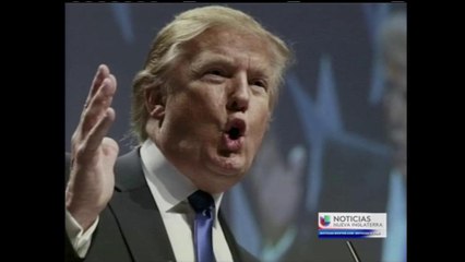 VIDEO: Linea de ayuda para inmigrantes víctimas de acoso