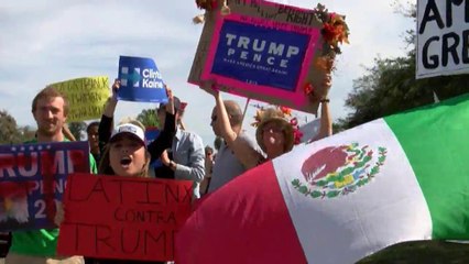 VIDEO: Color de hormiga brava las contiendas a horas de las elecciones