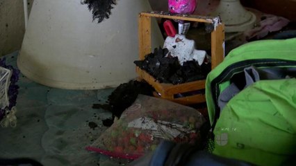 Ayuda para recuperar pertenencias