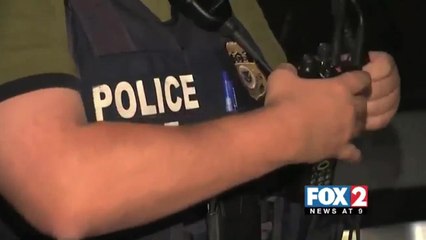 ICE Raids Clarified After Trump\'s Election