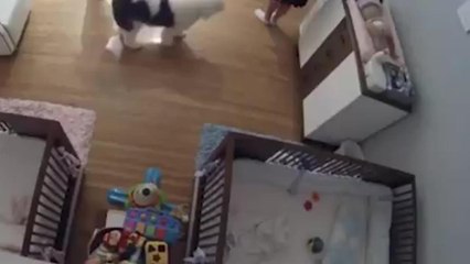 ¡Un héroe! Niño de 9 años salva a su hermano de 11 meses.