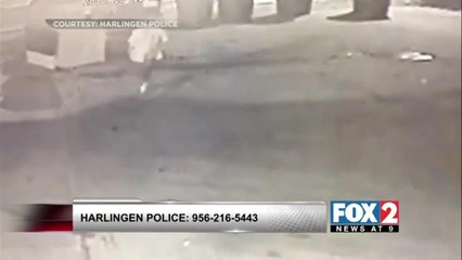 Police Search For Chapita\'s Theft Suspect in Harlingen