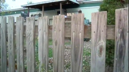 Residentes de casas móviles piden extender plazo para desalojar