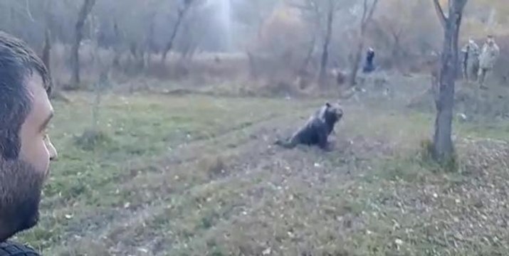 KIŞ UYKUSUNA YATMAYAN BOZAYIYI UYUŞTURUP, YERLEŞİM ALANINDAN UZAĞA BIRAKTILAR