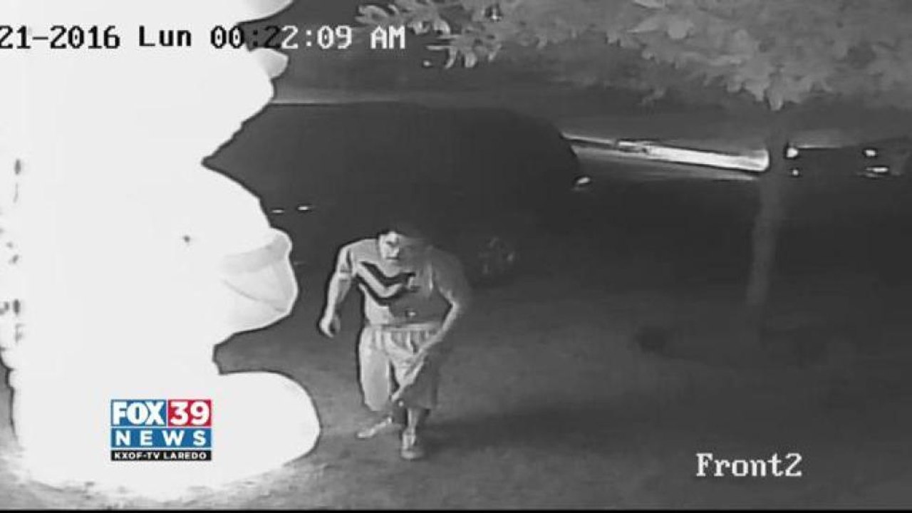 Man caught stealing holiday decorations