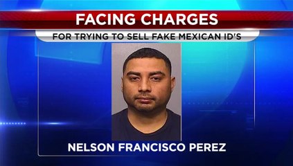 Man Faces Charges For Selling Fake Mexican IDs