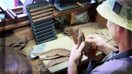 Historia Especial: Tabacaleras Latinas