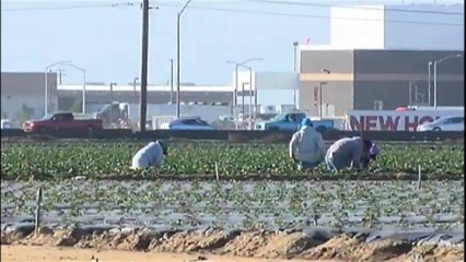 VIDEO: Proyecto de ley federal pretende combatir sequía en California