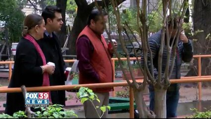 The Senor Citizen Home Gets Creative With a Vegetable Garden