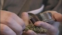 VIDEO: Condado de Monterey recibe aplicaciones para venta de marihuana