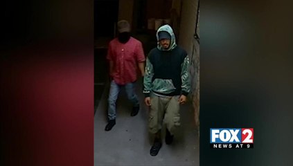 Authorities Search for Burglars