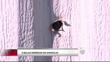 Balas perdidas impactan viviendas