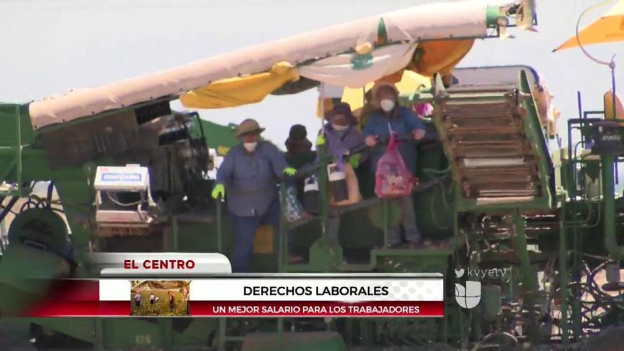 Buscan proteger derechos de los trabajadores