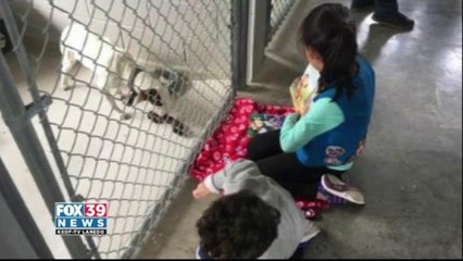 Girl Scouts volunteer to read to animals of local shelter
