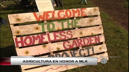 VIDEO: Organización en Santa Cruz celebra a MLK con agricultura