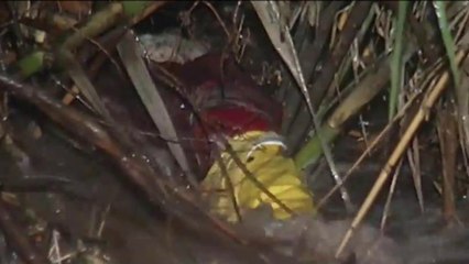 Continúa la búsqueda de un niño reportado como desaparecido en Rainbow