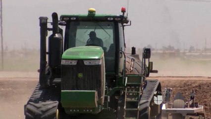 Exigen pago de salarios a trabajadores del campo