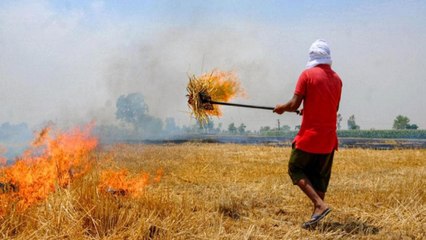 Pollution: Why farmers are forced to burn stubble?