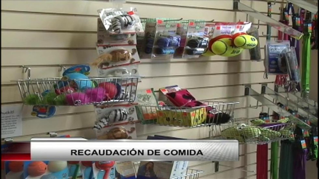 VIDEO: Recaudación de comida para mascotas
