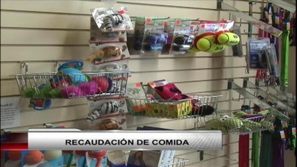 VIDEO: Recaudación de comida para mascotas