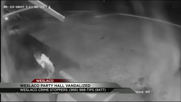 Weslaco Party Hall Vandalized, Suspect Sought