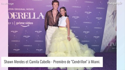 Camila Cabello et Shawn Mendes : Rupture surprise après 2 ans d'amour
