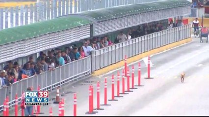 CBP Clear Up Local Rumors Regarding International Bridges