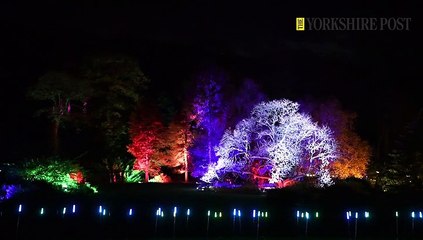 Glow At Harlow Carr