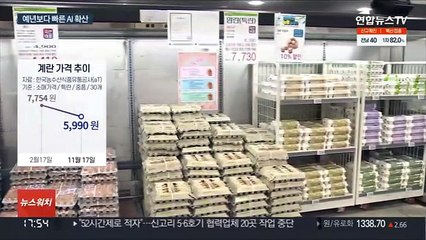 고병원성 AI 이달만 4건…벌써 계란값 우려