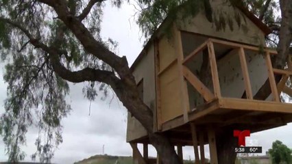 Construyen casa en un árbol para no ver el muro fronterizo