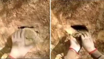 Türk defineci kazı sırasında taş kesilmiş yılan buldu! Hakkındaki hikaye çok ürkütücü
