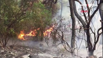 Heybeliada'yı 'aseton' ile yakmıştı! Cezası belli oldu