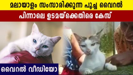 1 മുതൽ 10 വരെ എണ്ണുന്ന പൂച്ച, വീഡിയോയ്ക്ക് പിന്നാലെ കേസ് | Oneindia Malayalam