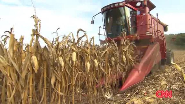 Archivo: senador mexicano propone reducir importaciones de maíz de EE.UU.