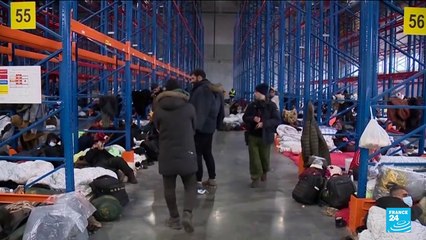 Biélorussie : des migrants évacués par bus, loin de la frontière polonaise