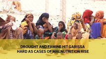 Drought hits Garissa hard as malnutrition cases rise